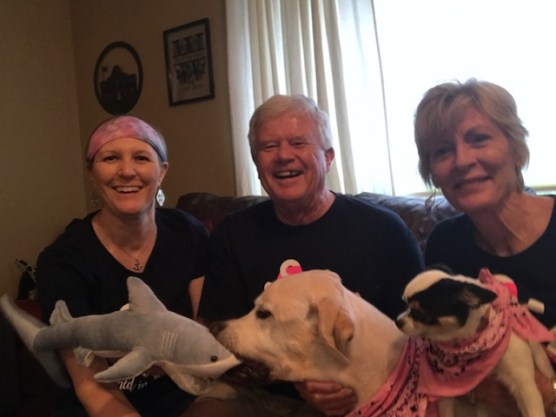 7-14 mav eating shark