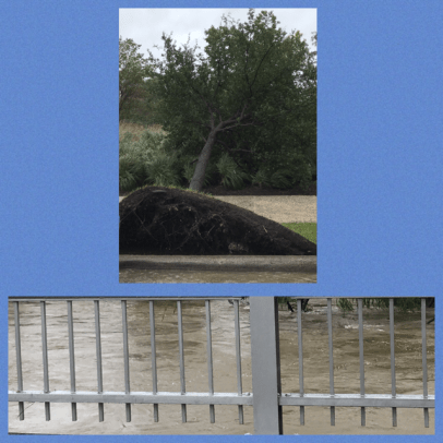 Edition 21 damage (1).png