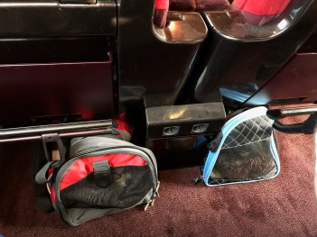 Ghent Fest-dogs on train