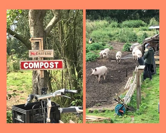 Orange Bordered Fall Photo Collage